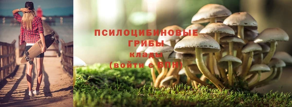 трава Алзамай